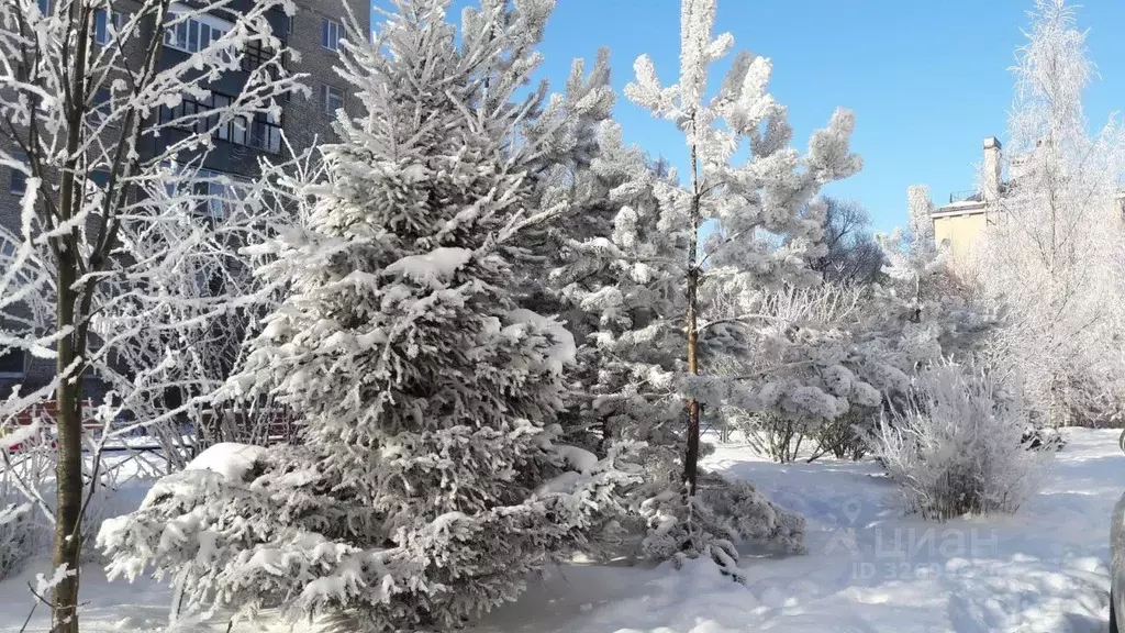 Комната Санкт-Петербург ул. Политрука Пасечника, 4 (25.8 м) - Фото 1