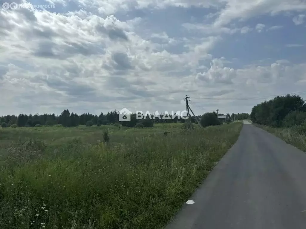 Участок в Нижегородская область, Городецкий муниципальный округ, ... - Фото 2