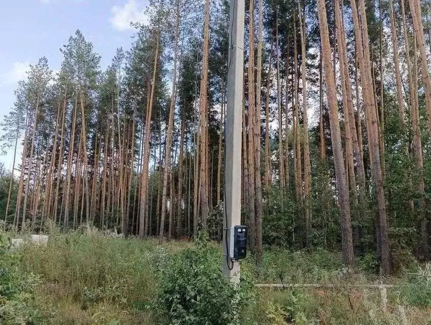 Участок в Воронежская область, с. Новая Усмань ул. Захлебная, 12 (15.0 ... - Фото 1