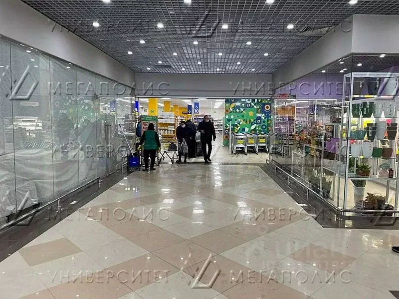 Помещение свободного назначения в Москва Филевский бул., 10 (280 м) - Фото 2