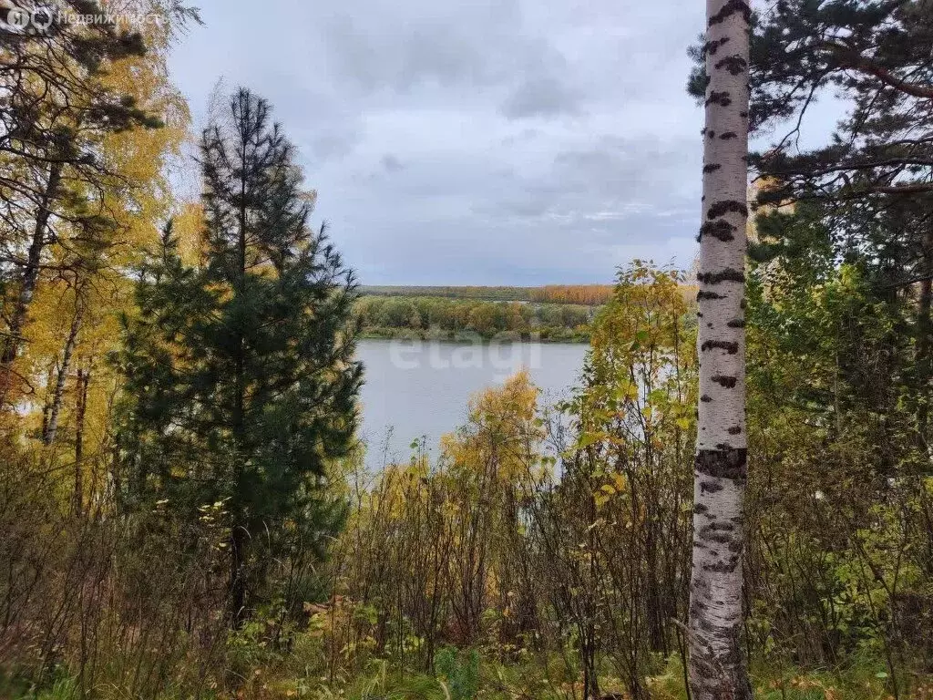 Дом в Томский район, село Половинка (Базанаково) (80 м) - Фото 1