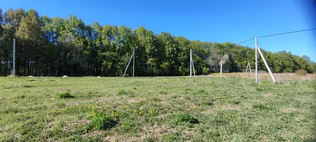 Участок в Калининградская область, Багратионовский муниципальный ... - Фото 2