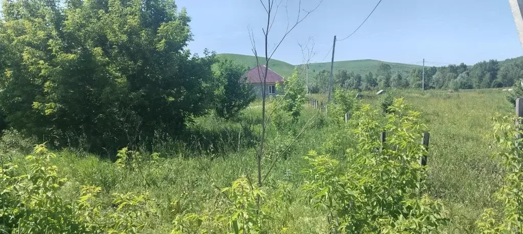 Участок в Алтай, Майминский район, с. Подгорное  (6.0 сот.) - Фото 0