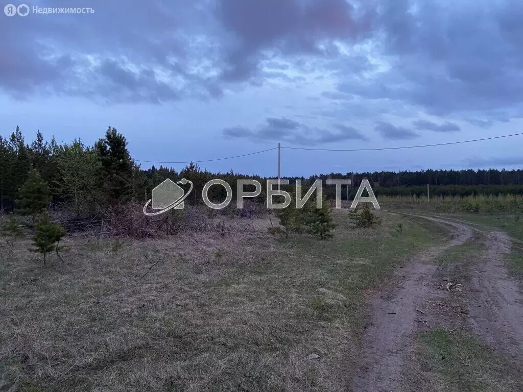 Участок в посёлок городского типа Тугулым, Лесная улица (14.4 м) - Фото 1