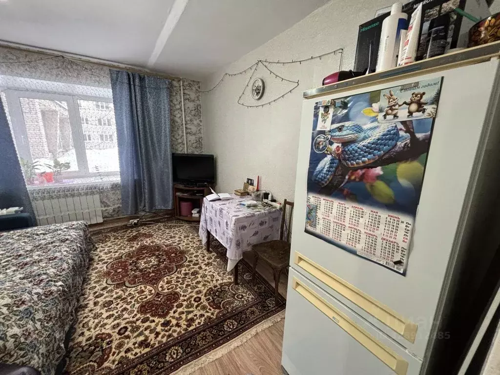 1-к кв. Нижегородская область, Бор ул. Чугунова, 12 (19.0 м) - Фото 2