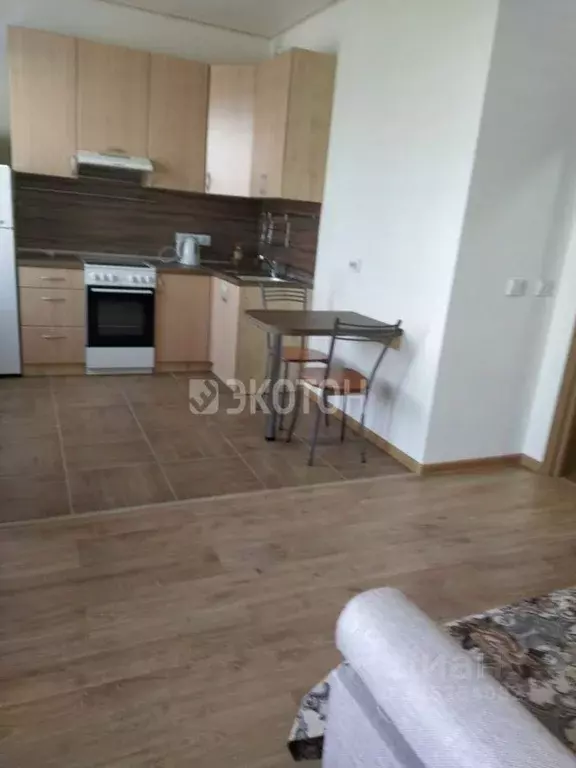 Студия Ленинградская область, Всеволожский район, пос. Бугры ул. ... - Фото 1