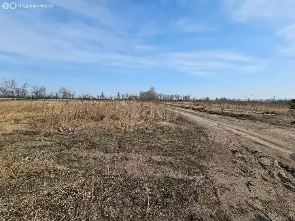 Участок в Красноярский край, Минусинский муниципальный округ, посёлок ... - Фото 1