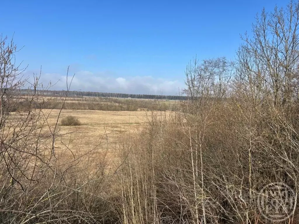 Участок в Ленинградская область, Кировский район, Шумское с/пос, ... - Фото 1