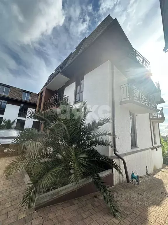 1-к кв. Краснодарский край, Сочи Пятигорская ул., 52А (35.0 м) - Фото 1