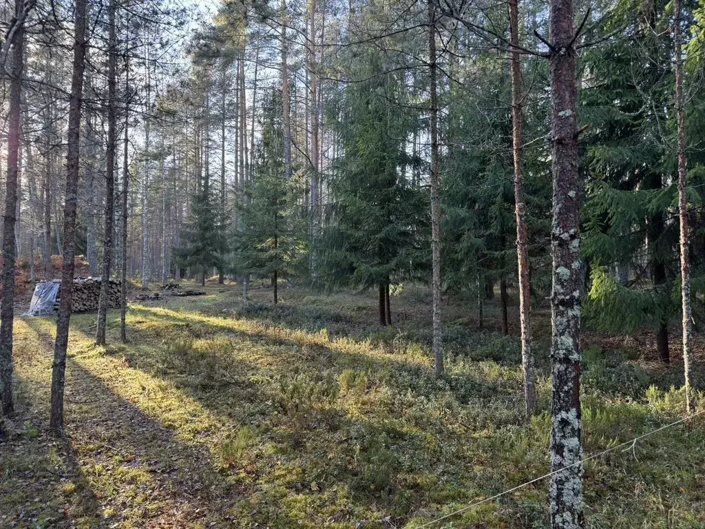 Участок в Ленинградская область, Выборгский район, Полянское с/пос, ... - Фото 1