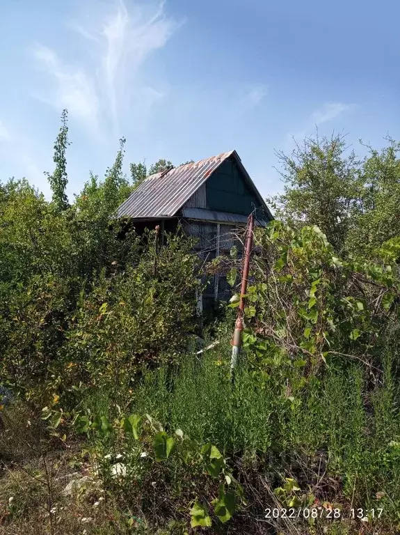 Погода первая расловка саратовской. СНТ фиалка Расловка 1. Расловка 1 погода.