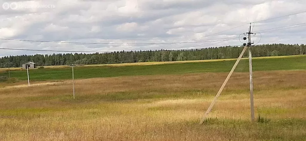 Участок в Волосовский район, Клопицкое сельское поселение, деревня ... - Фото 1