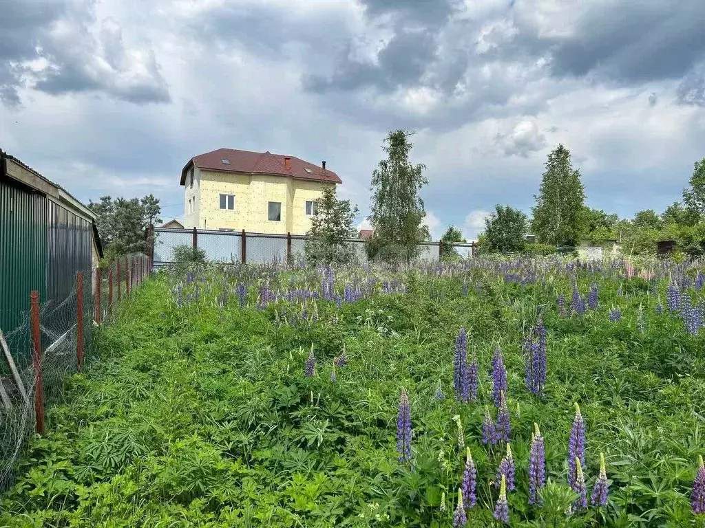 Участок в Московская область, Солнечногорск городской округ, Радумля ... - Фото 0