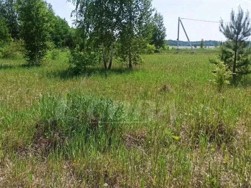 Участок в Тюменская область, Тюменский район, Казарма урочище  (10.0 ... - Фото 0