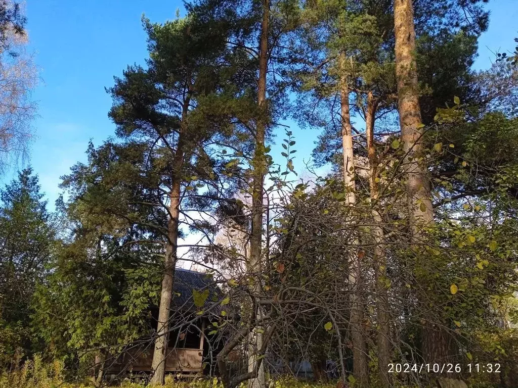 Участок в Московская область, Щелково городской округ, Загорянский пгт ... - Фото 1