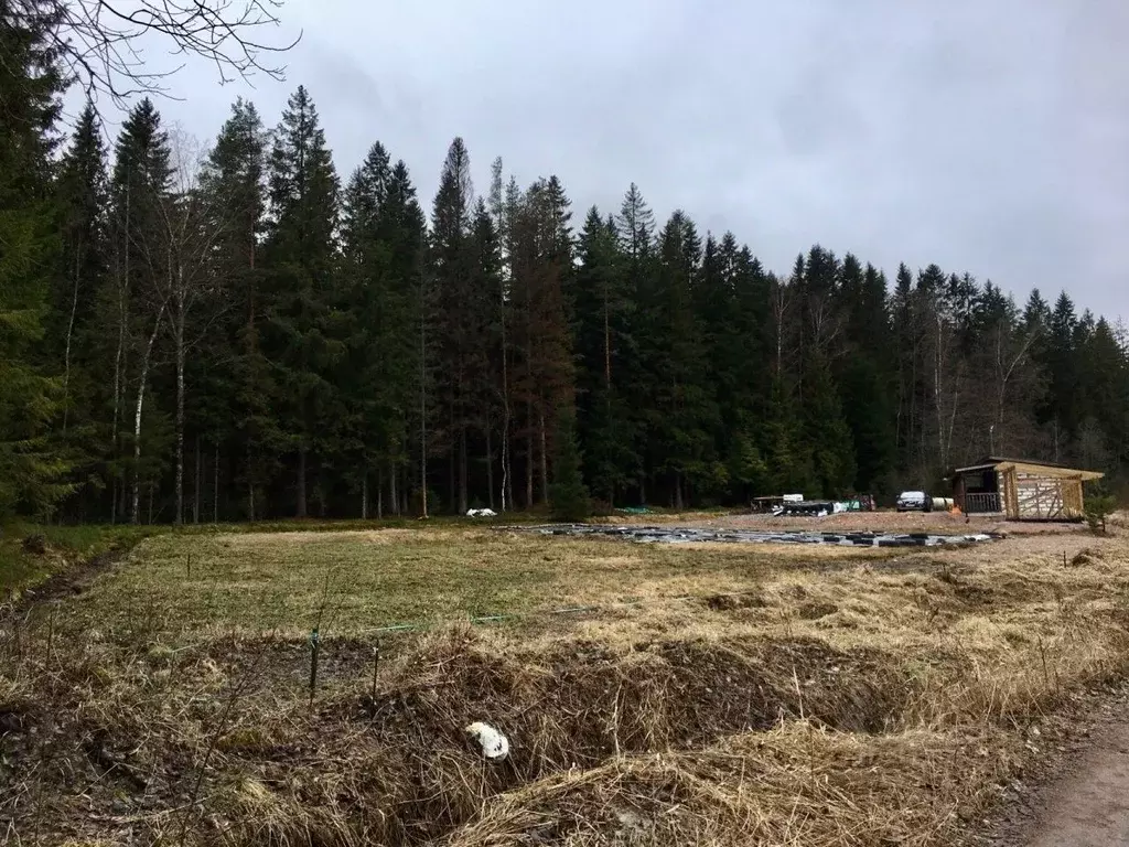 Участок в Ленинградская область, Выборгский район, Советское городское ... - Фото 0