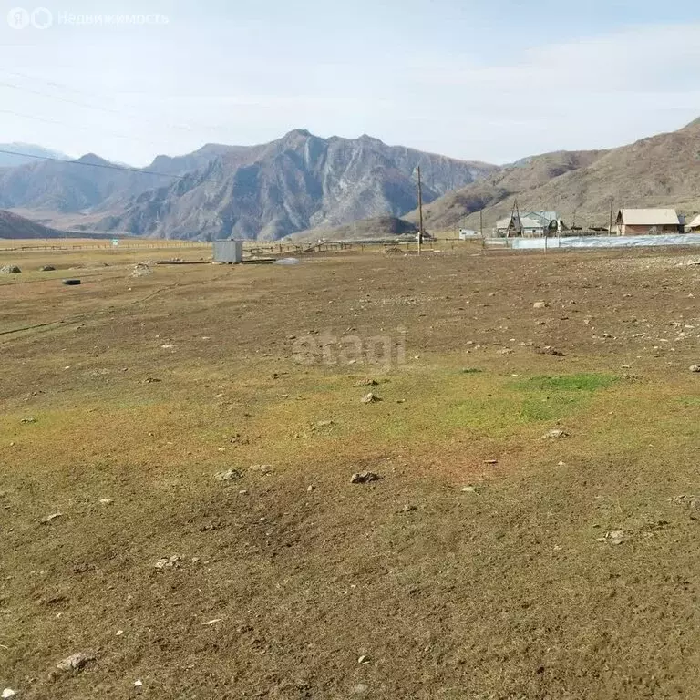 Участок в Онгудайский район, территория Чуйозы (11.2 м) - Фото 0