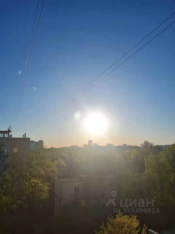 1-к кв. Санкт-Петербург бул. Новаторов, 80 (26.0 м) - Фото 1