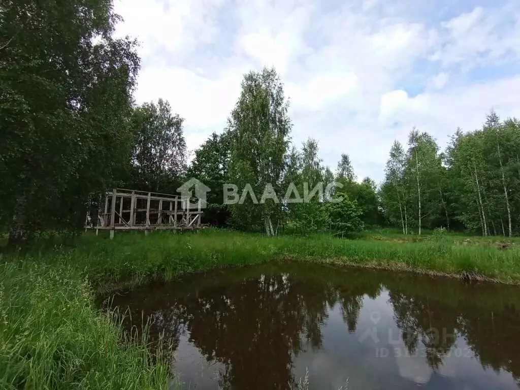 Участок в Владимирская область, Судогодский район, Лавровское ... - Фото 1