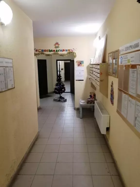 Продаётся квартира-студия, 25.3 м - Фото 1