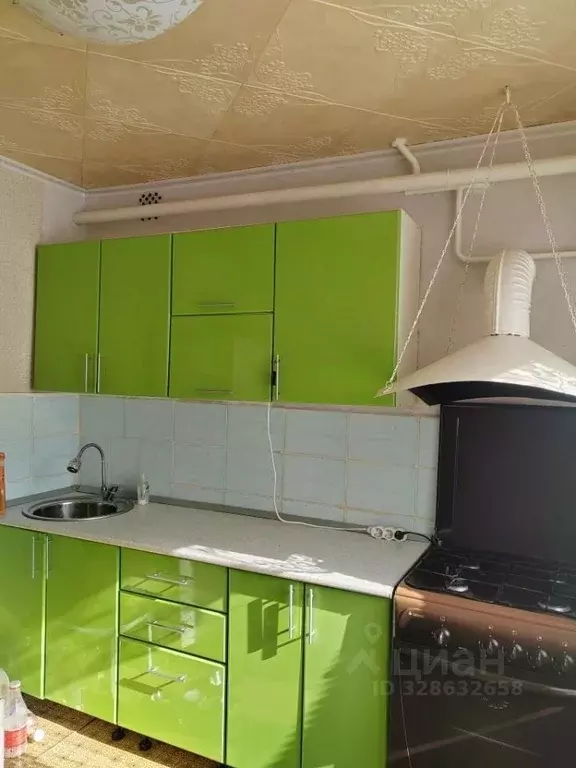 Таунхаус в Башкортостан, Краснокамский район, с. Николо-Березовка ул. ... - Фото 1