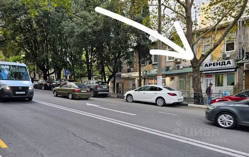 Помещение свободного назначения в Крым, Ялта ул. К. Маркса, 13 (24 м) - Фото 1