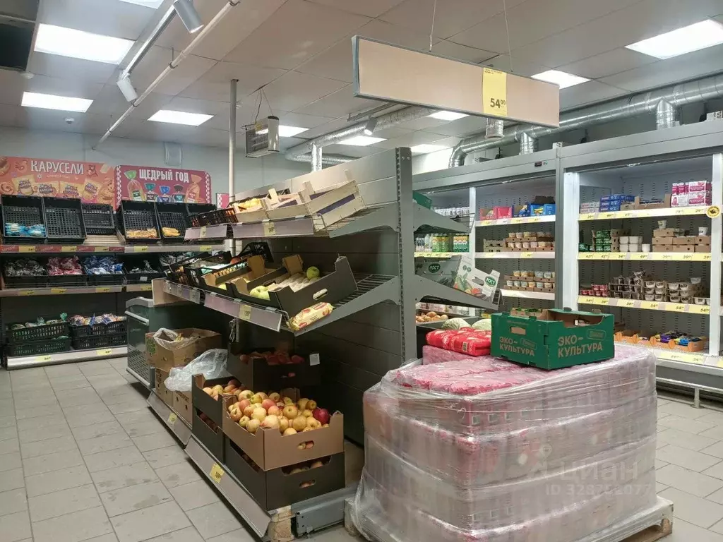 Торговая площадь в Московская область, Щелково городской округ, ... - Фото 2