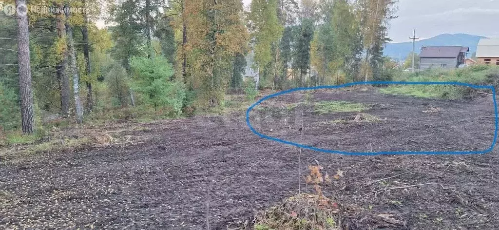 Участок в Манжерокское сельское поселение, село Озёрное, Берёзовая ... - Фото 1