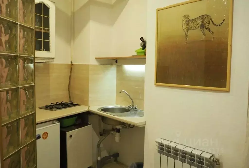 Студия Крым, Ялта ул. Балаклавская, 1 (26.0 м) - Фото 1