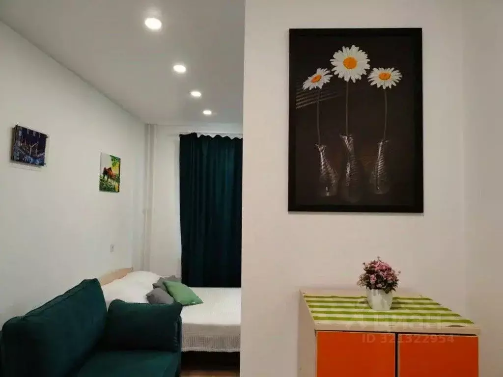 1-к кв. Московская область, Домодедово городской округ, с. Ям ул. ... - Фото 1