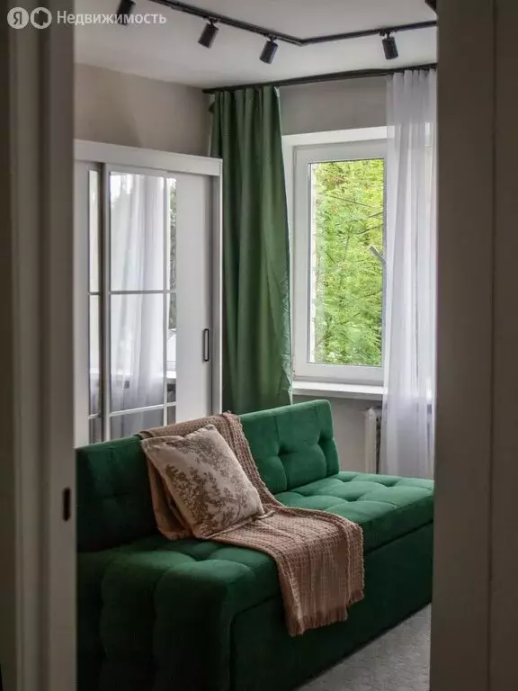 1-комнатная квартира: деревня Корпуса, Заречная улица, 65 (28 м) - Фото 1