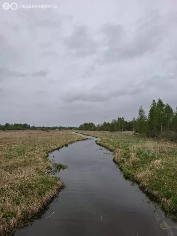 Участок в Московская область, муниципальный округ Егорьевск, деревня ... - Фото 1