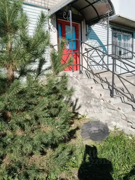 Студия Нижегородская область, Чкаловск ул. Ломоносова, 57 (15.0 м) - Фото 1