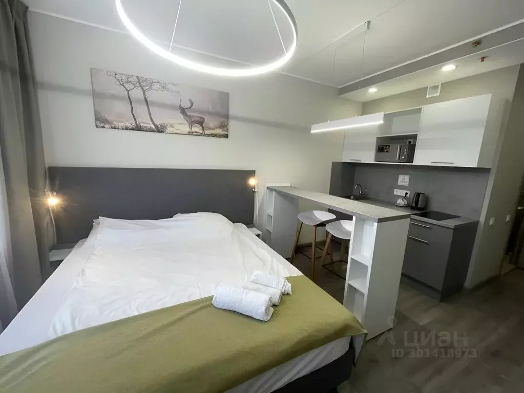 Студия Санкт-Петербург Витебский просп., 101к1 (27.0 м) - Фото 1