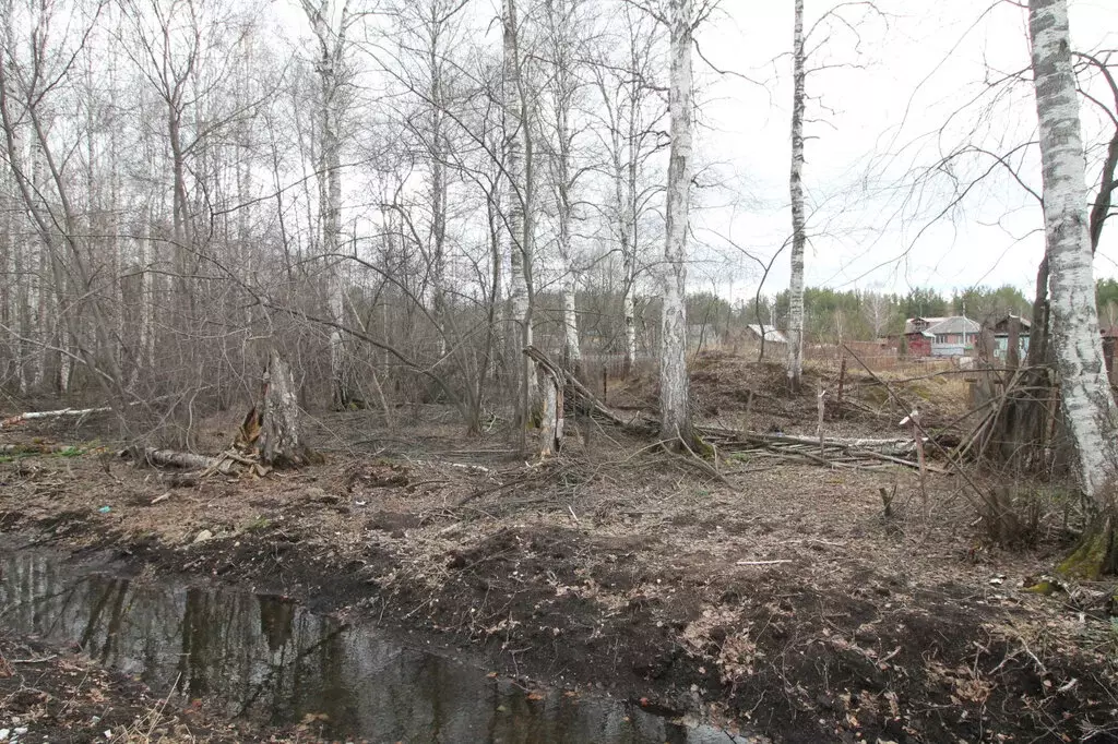 Участок в Свердловская область, городской округ Верхняя Пышма, посёлок ... - Фото 2