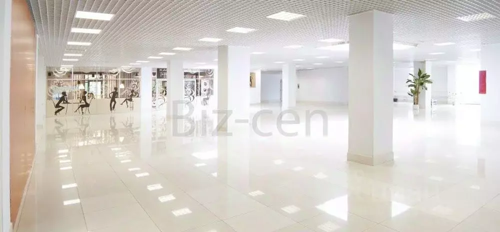 Офис в Санкт-Петербург Северный просп., 5 (34 м) - Фото 2