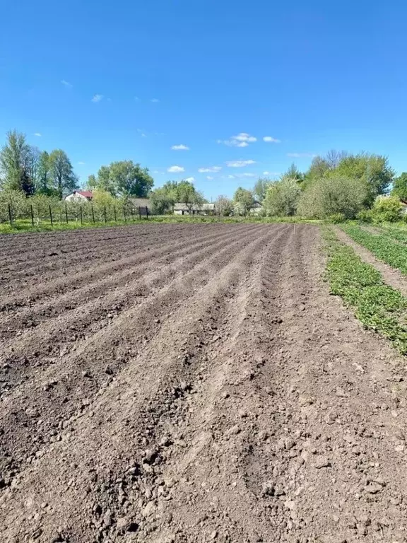 Участок в Орловская область, Орловский муниципальный округ, д. ... - Фото 1