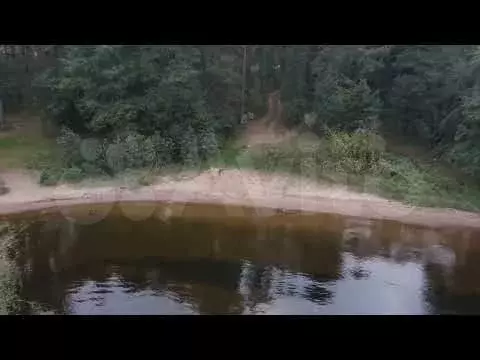 Участок 19 сот. (СНТ, ДНП) - Фото 1