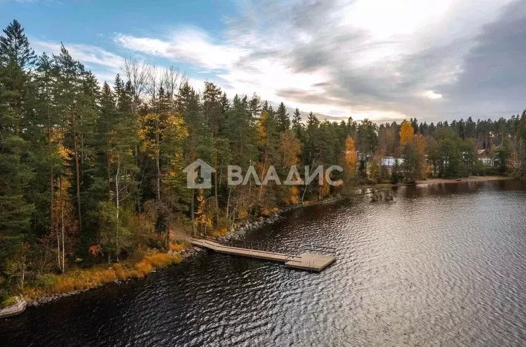 Участок в Ленинградская область, Выборгский район, Полянское с/пос, ... - Фото 1