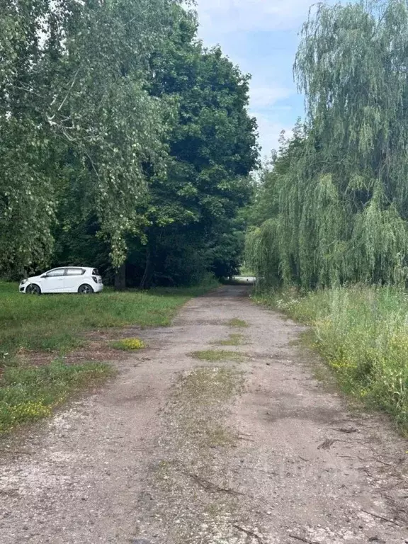 Дом в Курская область, Фатежский район, с. Большое Жирово 114А (304 м) - Фото 1