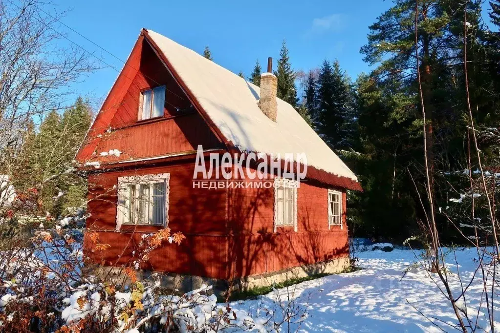 Дом в Ленинградская область, Гатчинский район, Дружная Горка городской ... - Фото 0