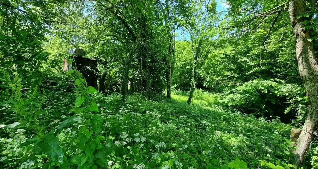 Участок в Краснодарский край, Туапсинский муниципальный округ, с. ... - Фото 2