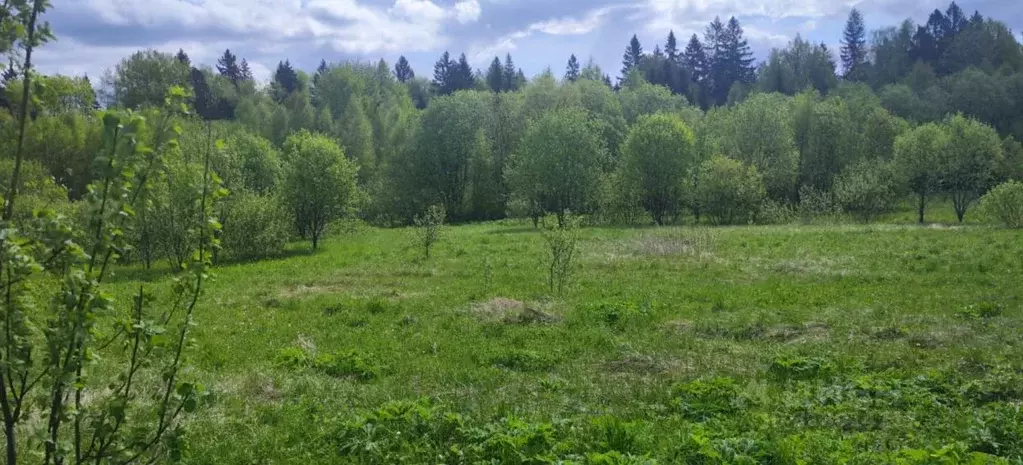 Участок в Московская область, Солнечногорск городской округ, д. Мостки ... - Фото 1