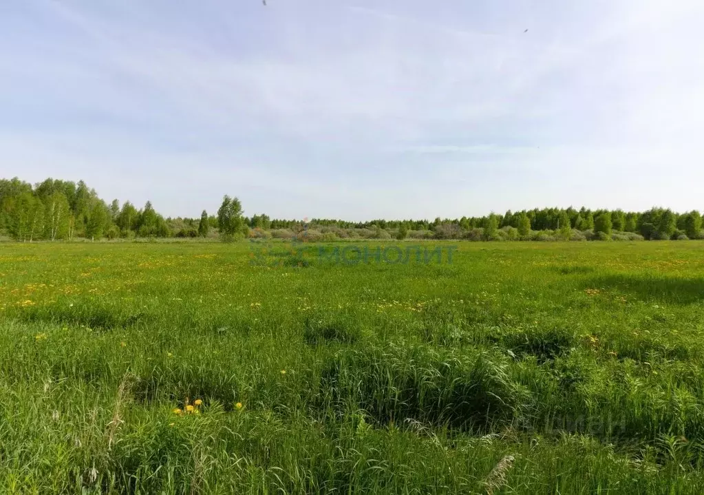 Участок в Нижегородская область, Богородский муниципальный округ, д. ... - Фото 1