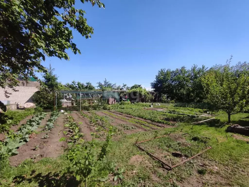 Участок в Ставропольский край, Изобильненский муниципальный округ, ... - Фото 2