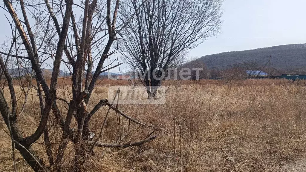 Участок в Приморский край, Шкотовский муниципальный округ, пос. ... - Фото 2