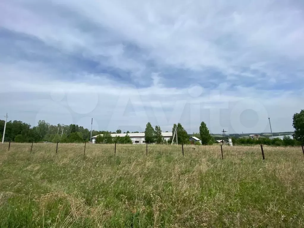 Участок сухая балка красноярск. Сухая балка Красноярск. Пос.овсяное- Первомайское.