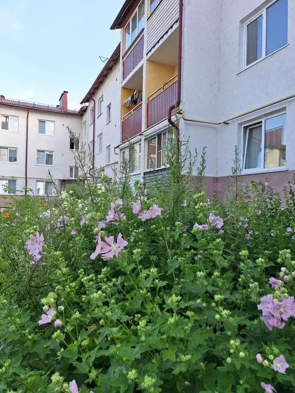 2-к. квартира, 46,9 м, 3/3 эт. - Фото 0