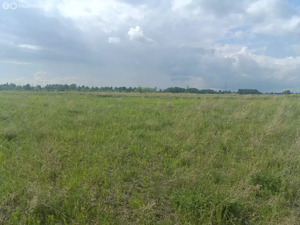 Участок в Алтайский край, городской округ Барнаул, посёлок Центральный ... - Фото 1