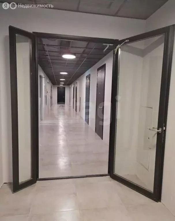 Квартира-студия: Санкт-Петербург, набережная Макарова, 58 (28.8 м) - Фото 1